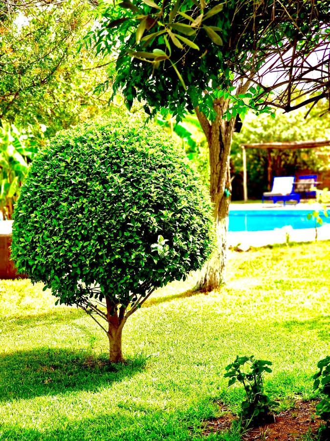 Le Domaine De Carole Marrakech Bed & Breakfast Douar Akkara Luaran gambar