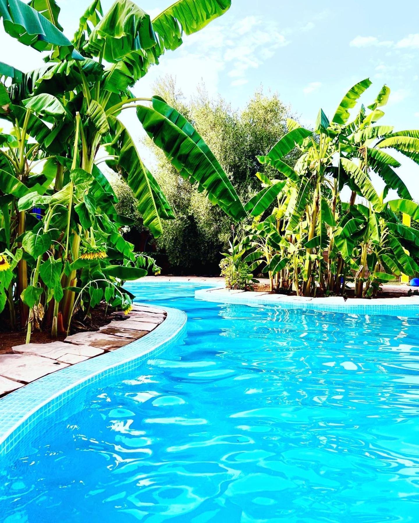 Le Domaine De Carole Marrakech Bed & Breakfast Douar Akkara Luaran gambar