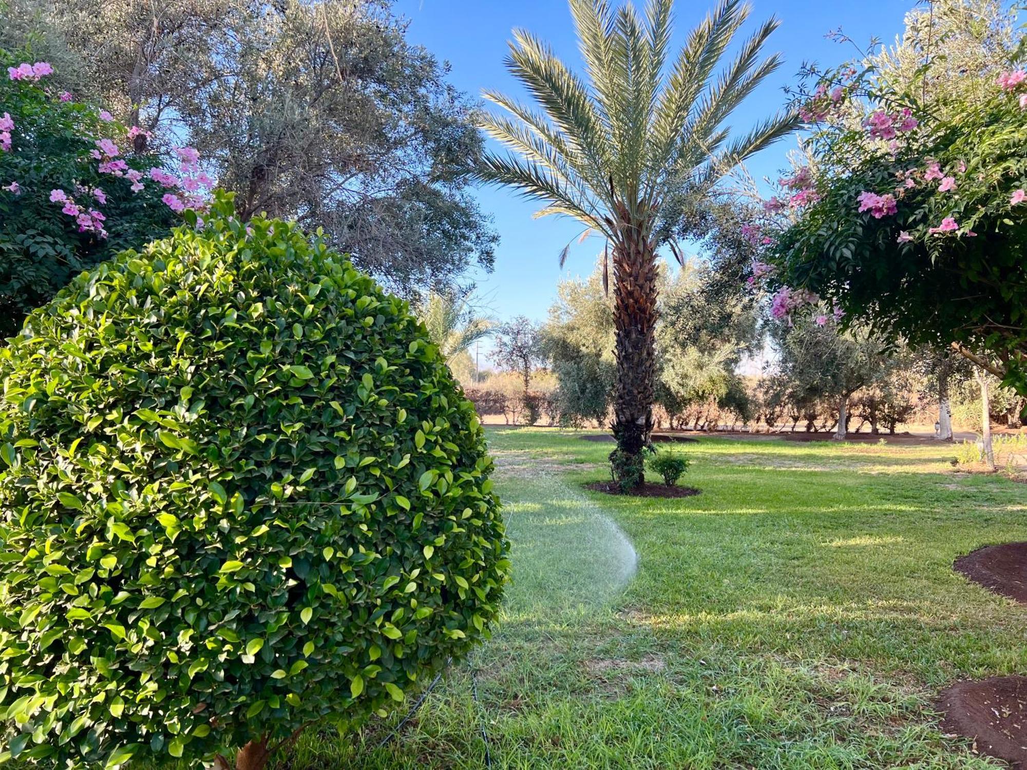 Le Domaine De Carole Marrakech Bed & Breakfast Douar Akkara Luaran gambar