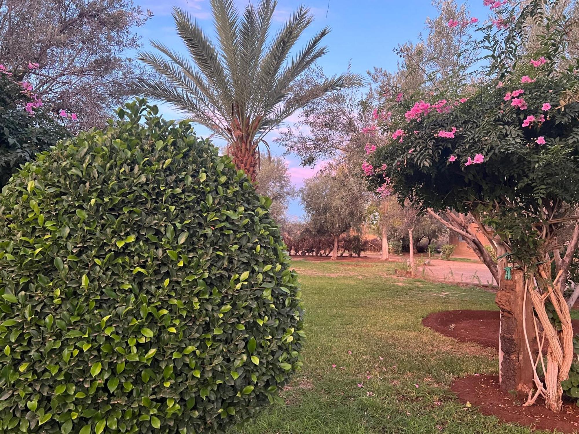 Le Domaine De Carole Marrakech Bed & Breakfast Douar Akkara Luaran gambar