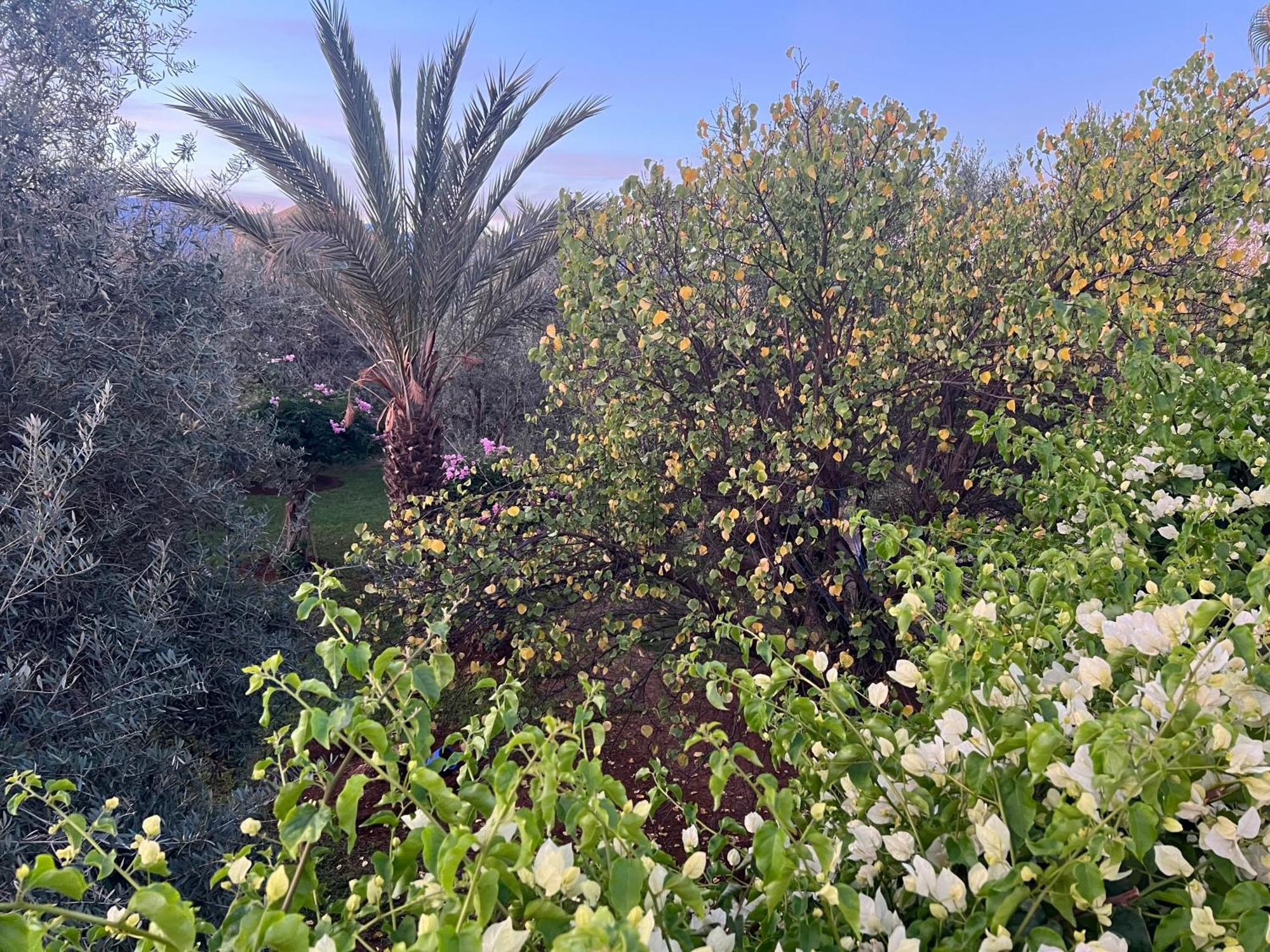 Le Domaine De Carole Marrakech Bed & Breakfast Douar Akkara Luaran gambar