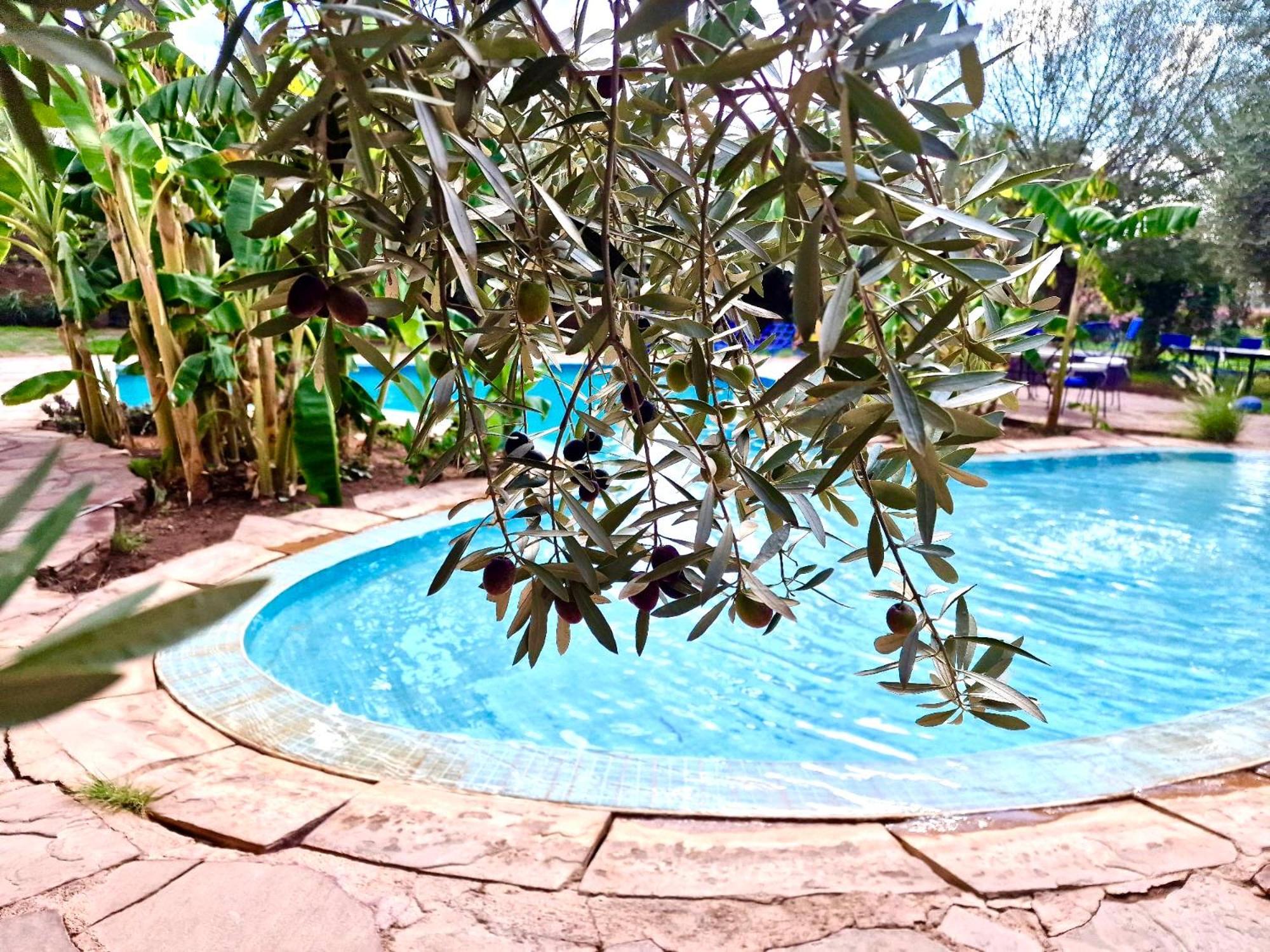 Le Domaine De Carole Marrakech Bed & Breakfast Douar Akkara Luaran gambar